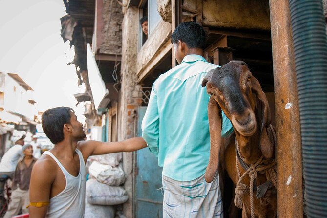 Dharavi Tour Including Car Transfer - Local Guide + Driver: Why That Matters More Than You Think