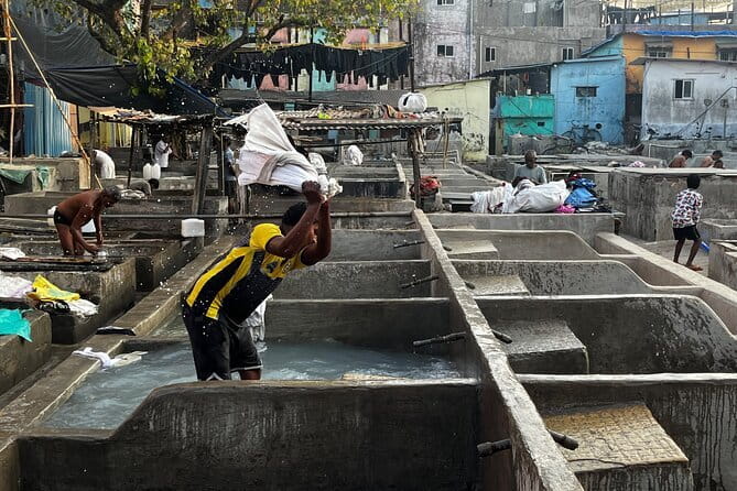 Mumbai By Dawn Morning Markets & The World’s Largest Laundry - Sassoon Dock fish auctions: where the day gets fed