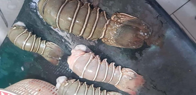 Mumbai Coastal Cooking: From Fishing Net to Flavourful Plate - Fish Market Time: Colorful Sarees, Fresh Catch, and How to Shop Smart