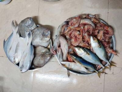Mumbai Coastal Cooking: From Fishing Net to Flavourful Plate - Should You Book This Mumbai Coastal Cooking Tour?
