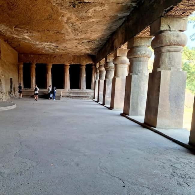 Mumbai: Sanjay Gandhi National Park, Pagoda, & Lion Safari - Sanjay Gandhi National Park: Lions, Tigers, and the Reality of a Big Urban Jungle