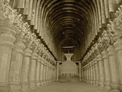 Sanjay Gandhi National Park and Kanheri Caves Day Private Tour - Sanjay Gandhi National Park: birds, insects, deer, and guided walking