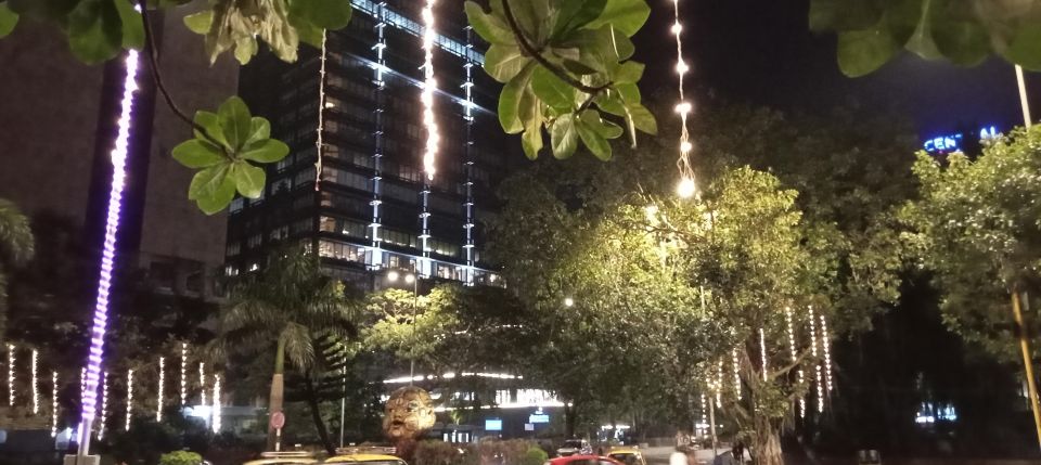 South Bombay Bar Live Tour 2 hours - Price and Value: Is $63 for a 2-Hour Crawl Reasonable?